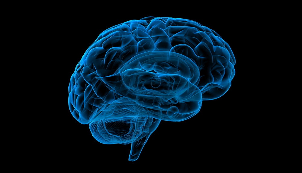 Brain Stem Cell X-ray