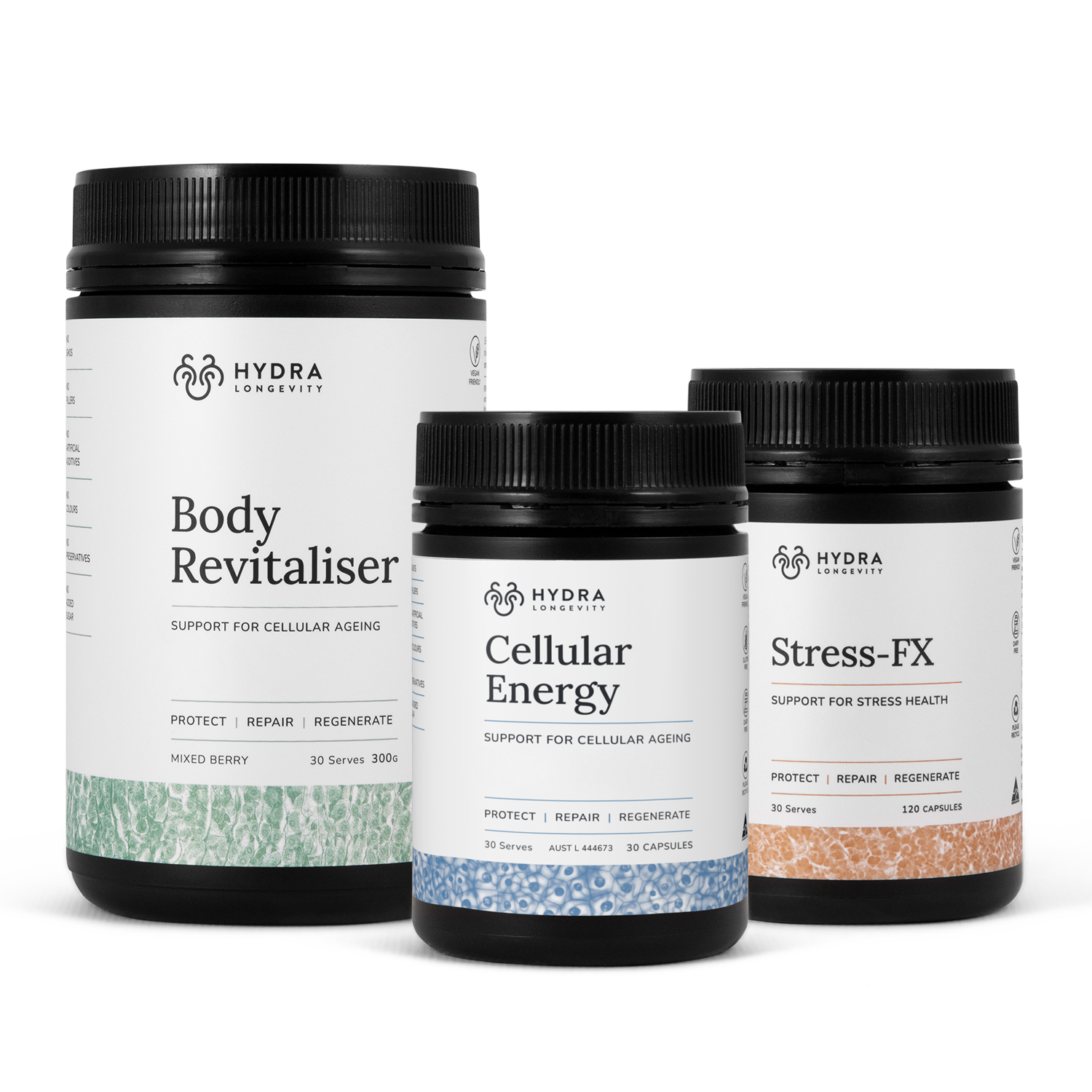 Memory & Focus Bundle